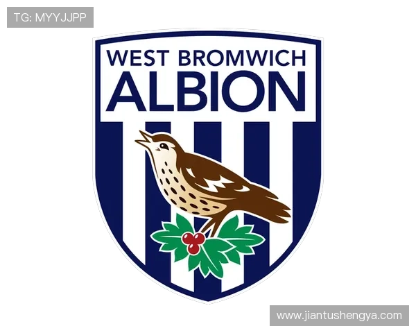 西布罗姆维奇俱乐部引援计划曝光新赛季主帅制定重建蓝图 西布罗姆维奇俱乐部引援计划曝光新赛季主帅制定重建蓝图